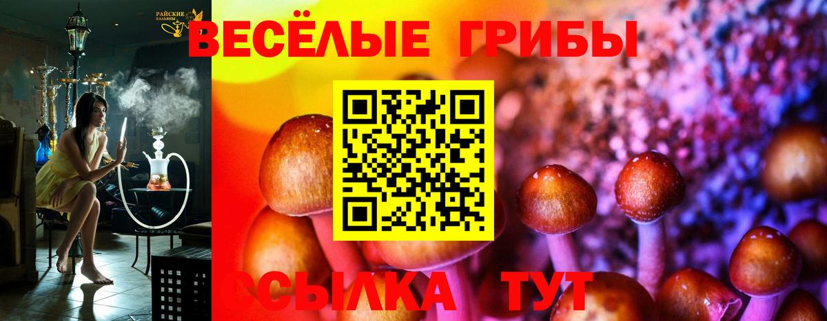 Псилоцибиновые грибы MAGIC MUSHROOMS Армавир